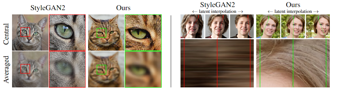 Figure 1: Examples of “texture sticking”. Left: The average of images generated from a small neighborhood around a central latent (top row). The intended result is uniformly blurry because all details should move together. However, with StyleGAN2 many details (e.g., fur) stick to the same pixel coordinates, showing unwanted sharpness. Right: From a latent space interpolation (top row), we extract a short vertical segment of pixels from each generated image and stack them horizontally (bottom). The desired result is hairs moving in animation, creating a time-varying field. With StyleGAN2 the hairs mostly stick to the same coordinates, creating horizontal streaks instead.